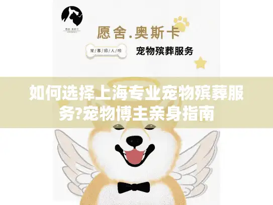 如何选择上海专业宠物殡葬服务?宠物博主亲身指南