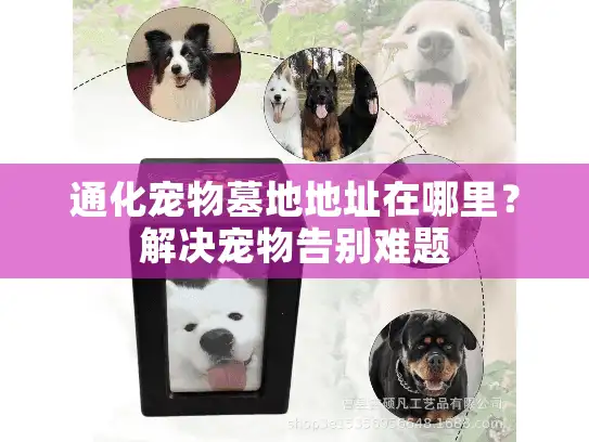 通化宠物墓地地址在哪里？解决宠物告别难题