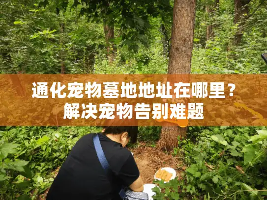 通化宠物墓地地址在哪里？解决宠物告别难题