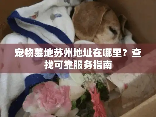 宠物墓地苏州地址在哪里？查找可靠服务指南