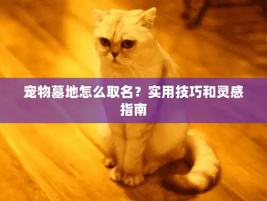 宠物墓地怎么取名？实用技巧和灵感指南