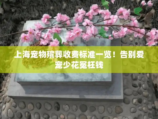 上海宠物殡葬收费标准一览！告别爱宠少花冤枉钱