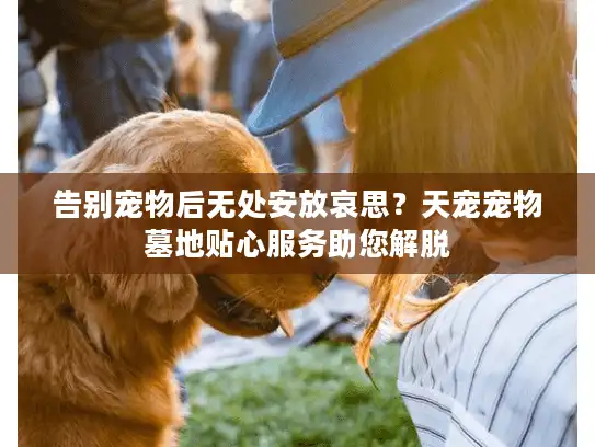 告别宠物后无处安放哀思？天宠宠物墓地贴心服务助您解脱