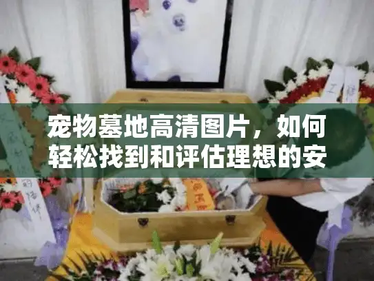 宠物墓地高清图片，如何轻松找到和评估理想的安息场所？
