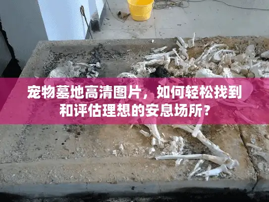 宠物墓地高清图片，如何轻松找到和评估理想的安息场所？