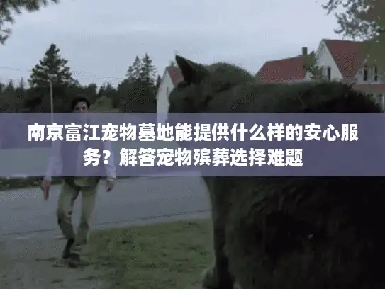 南京富江宠物墓地能提供什么样的安心服务？解答宠物殡葬选择难题