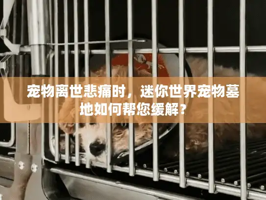 宠物离世悲痛时，迷你世界宠物墓地如何帮您缓解？