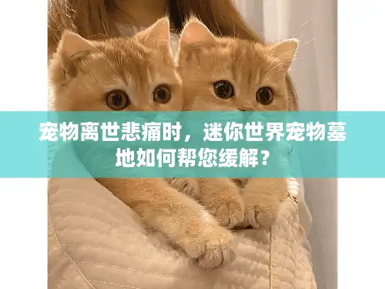 宠物离世悲痛时，迷你世界宠物墓地如何帮您缓解？