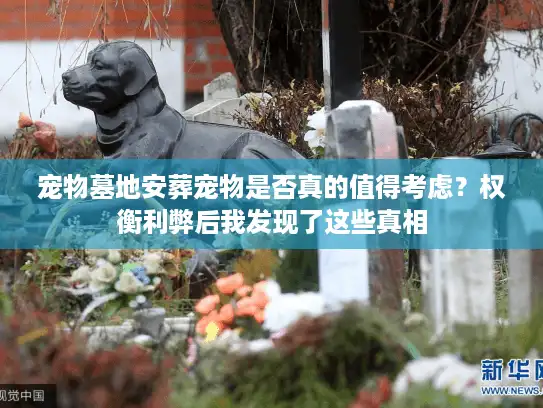 宠物墓地安葬宠物是否真的值得考虑？权衡利弊后我发现了这些真相