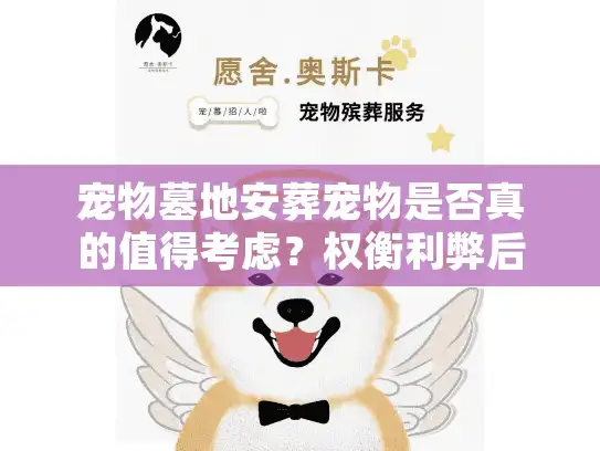 宠物墓地安葬宠物是否真的值得考虑？权衡利弊后我发现了这些真相
