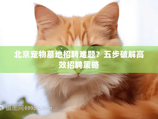 北京宠物墓地招聘难题？五步破解高效招聘策略