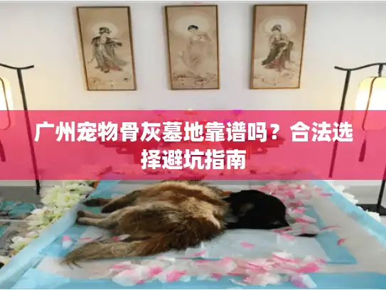广州宠物骨灰墓地靠谱吗？合法选择避坑指南