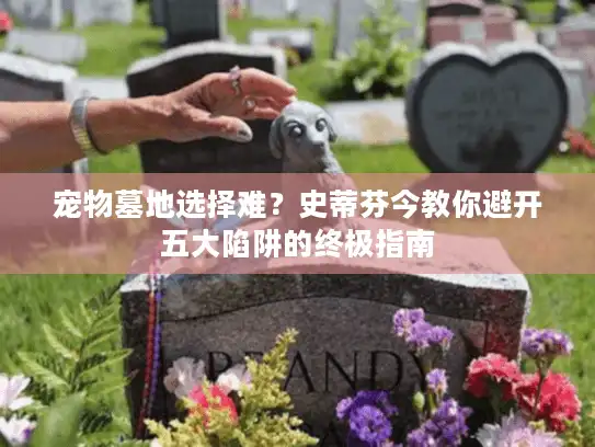 宠物墓地选择难？史蒂芬今教你避开五大陷阱的终极指南