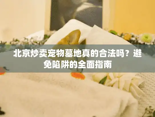 北京炒卖宠物墓地真的合法吗？避免陷阱的全面指南
