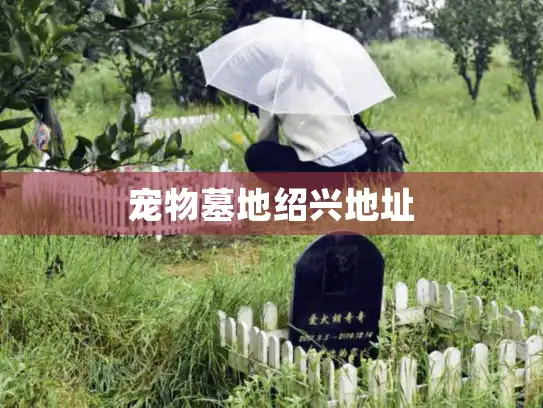 宠物墓地绍兴地址