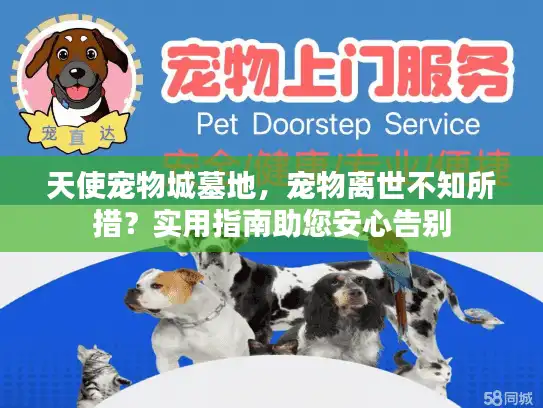 天使宠物城墓地，宠物离世不知所措？实用指南助您安心告别
