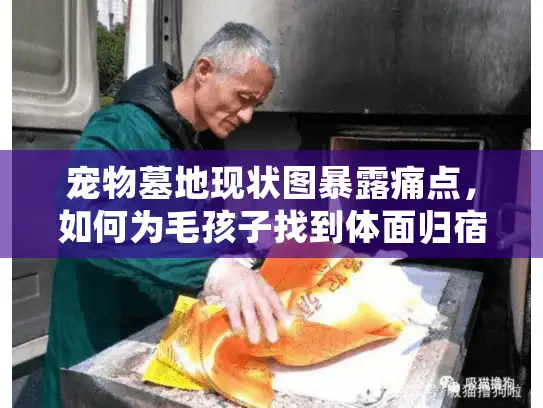 宠物墓地现状图暴露痛点，如何为毛孩子找到体面归宿