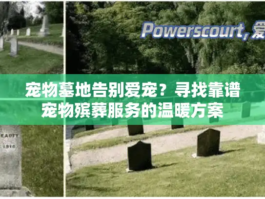 宠物墓地告别爱宠？寻找靠谱宠物殡葬服务的温暖方案