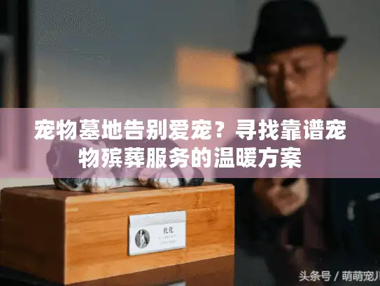 宠物墓地告别爱宠？寻找靠谱宠物殡葬服务的温暖方案