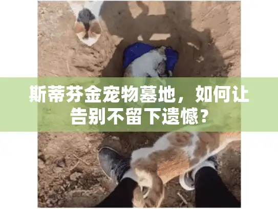 斯蒂芬金宠物墓地，如何让告别不留下遗憾？