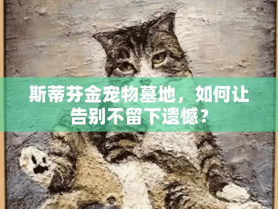 斯蒂芬金宠物墓地，如何让告别不留下遗憾？