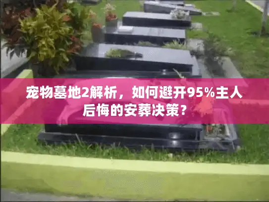 宠物墓地2解析，如何避开95%主人后悔的安葬决策？