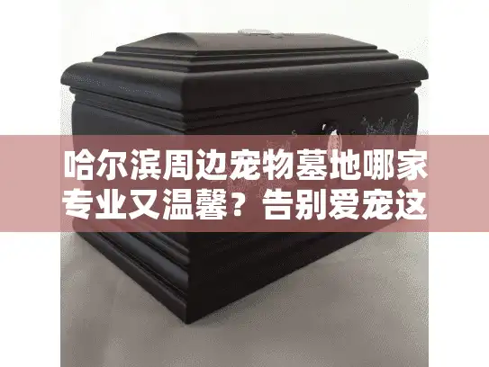 哈尔滨周边宠物墓地哪家专业又温馨？告别爱宠这样选