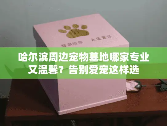 哈尔滨周边宠物墓地哪家专业又温馨？告别爱宠这样选