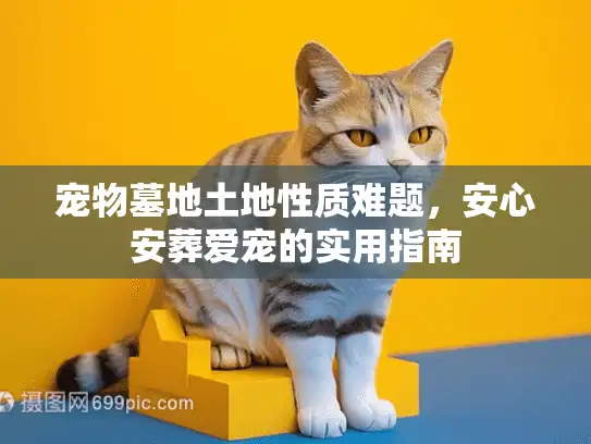 宠物墓地土地性质难题，安心安葬爱宠的实用指南