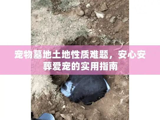 宠物墓地土地性质难题，安心安葬爱宠的实用指南