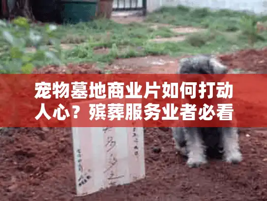 宠物墓地商业片如何打动人心？殡葬服务业者必看的6个情感营销法则