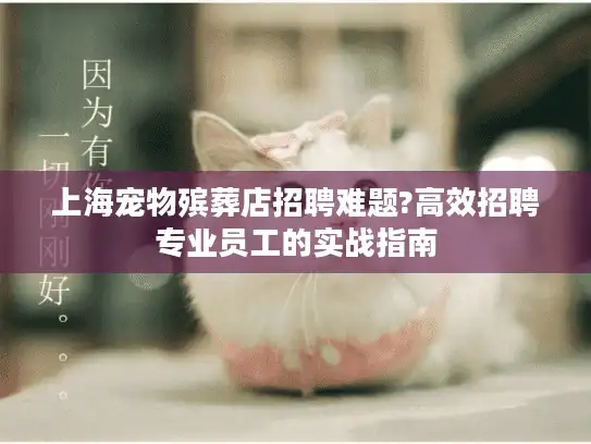 上海宠物殡葬店招聘难题?高效招聘专业员工的实战指南