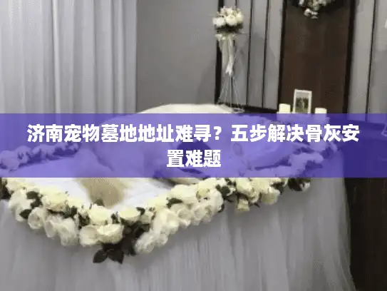 济南宠物墓地地址难寻？五步解决骨灰安置难题