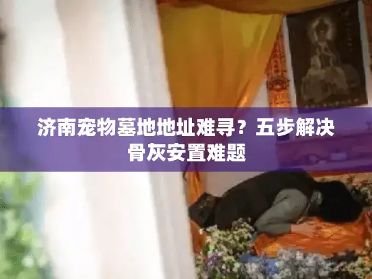 济南宠物墓地地址难寻？五步解决骨灰安置难题