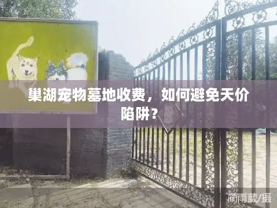 巢湖宠物墓地收费，如何避免天价陷阱？