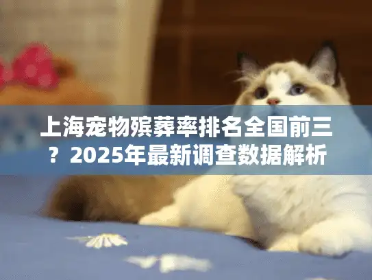上海宠物殡葬率排名全国前三？2025年最新调查数据解析