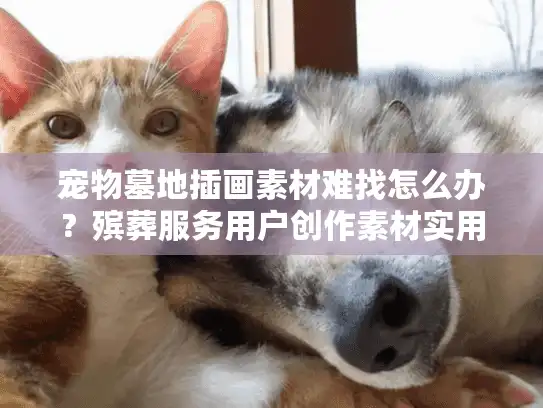 宠物墓地插画素材难找怎么办？殡葬服务用户创作素材实用指南