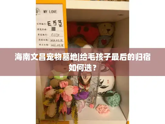 海南文昌宠物墓地|给毛孩子最后的归宿如何选？