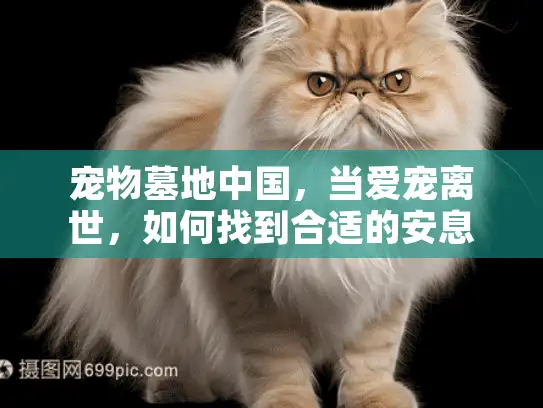 宠物墓地中国，当爱宠离世，如何找到合适的安息之所？