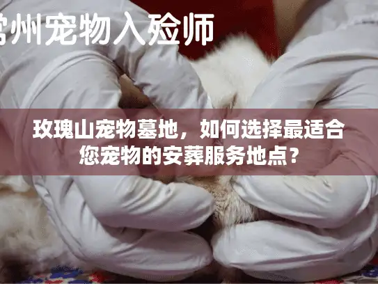 玫瑰山宠物墓地，如何选择最适合您宠物的安葬服务地点？