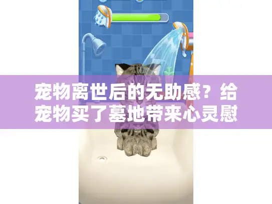 宠物离世后的无助感？给宠物买了墓地带来心灵慰藉