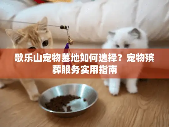歌乐山宠物墓地如何选择？宠物殡葬服务实用指南