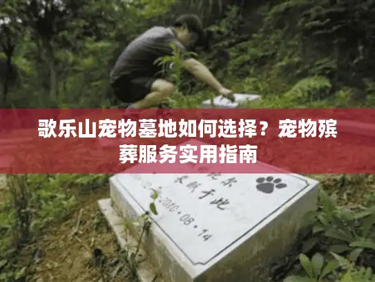 歌乐山宠物墓地如何选择？宠物殡葬服务实用指南