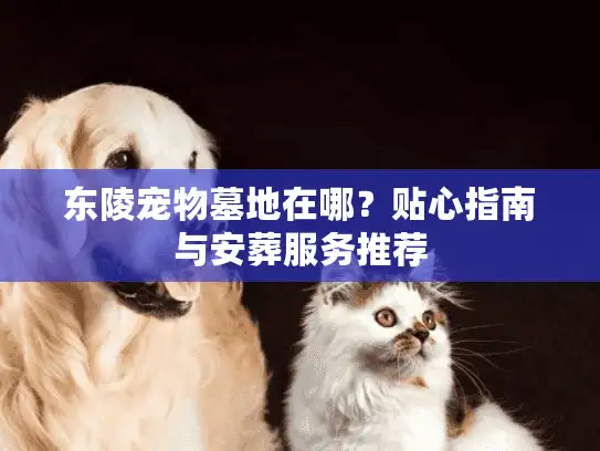 东陵宠物墓地在哪？贴心指南与安葬服务推荐