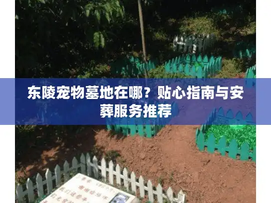 东陵宠物墓地在哪？贴心指南与安葬服务推荐
