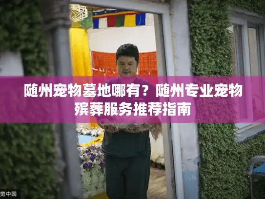 随州宠物墓地哪有？随州专业宠物殡葬服务推荐指南