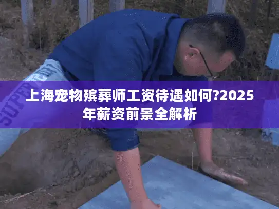 上海宠物殡葬师工资待遇如何?2025年薪资前景全解析