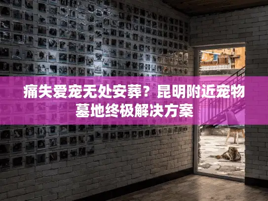 痛失爱宠无处安葬？昆明附近宠物墓地终极解决方案