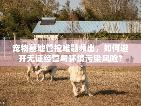 宠物墓地管控难题频出，如何避开无证经营与环境污染风险？