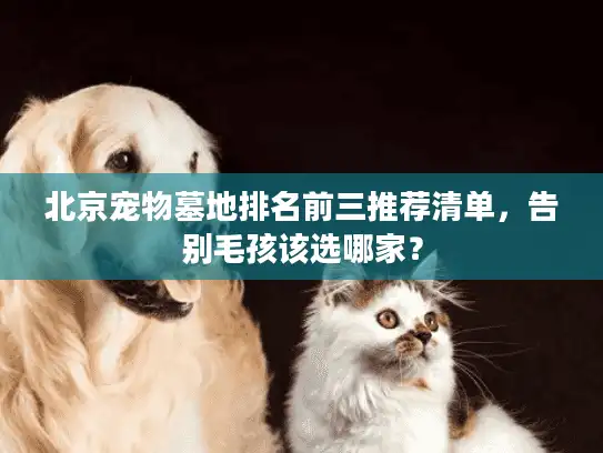 北京宠物墓地排名前三推荐清单，告别毛孩该选哪家？